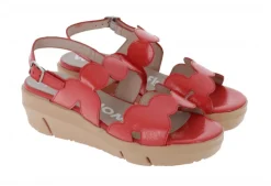 Wonders D-8232 Scalloped Sandal<Women Sandals